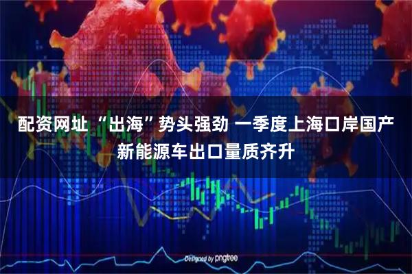 配资网址 “出海”势头强劲 一季度上海口岸国产新能源车出口量质齐升