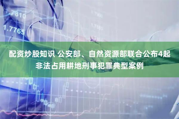 配资炒股知识 公安部、自然资源部联合公布4起非法占用耕地刑事犯罪典型案例